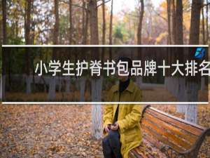 小学生护脊书包品牌十大排名