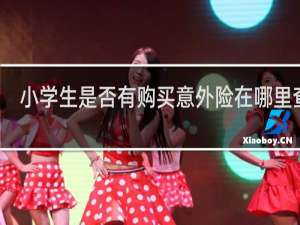 小学生是否有购买意外险在哪里查询