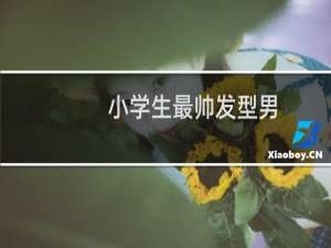 小学生最帅发型男