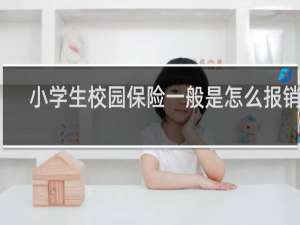 小学生校园保险一般是怎么报销的