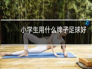 小学生用什么牌子足球好