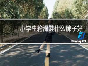 小学生轮滑鞋什么牌子好