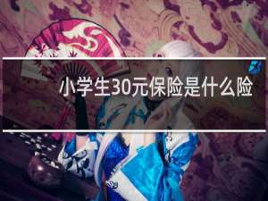 小学生30元保险是什么险