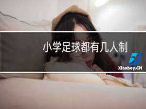 小学足球都有几人制
