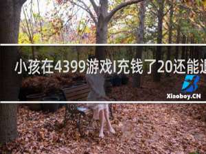 小孩在4399游戏I充钱了 还能退吗