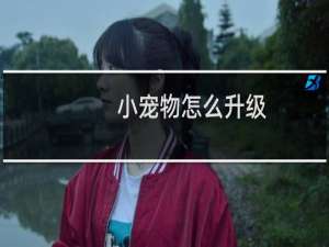 小宠物怎么升级