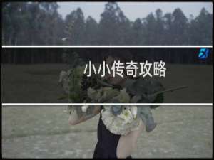 小小传奇攻略