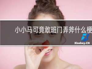 小小马可竟敢班门弄斧什么梗