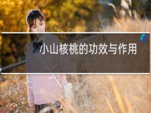 小山核桃的功效与作用（你有了解过吗）