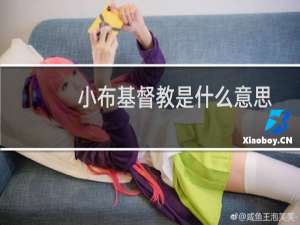 小布基督教是什么意思