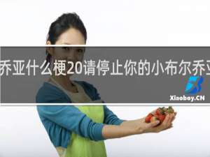 小布尔乔亚什么梗 请停止你的小布尔乔亚行为什么梗