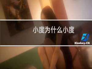 小度为什么小度