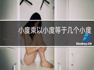 小度乘以小度等于几个小度
