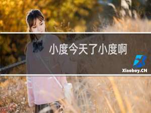 小度今天了小度啊