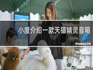 小度介紹一款天貓精靈音箱