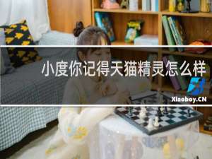 小度你记得天猫精灵怎么样