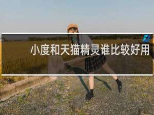 小度和天猫精灵谁比较好用