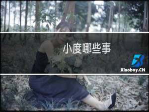 小度哪些事