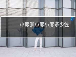 小度啊小度小度多少钱
