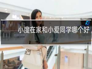 小度在家和小爱同学哪个好