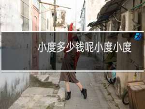 小度多少钱呢小度小度