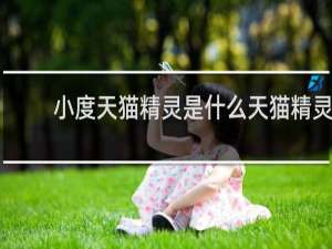 小度天猫精灵是什么天猫精灵