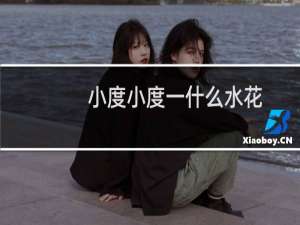 小度小度一什么水花