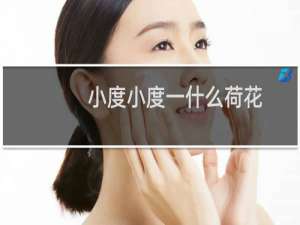 小度小度一什么荷花