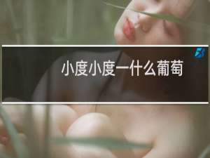 小度小度一什么葡萄