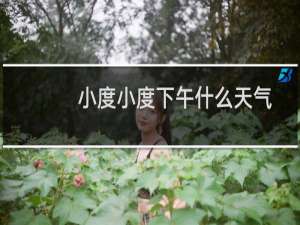 小度小度下午什么天气