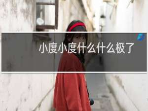 小度小度什么什么极了