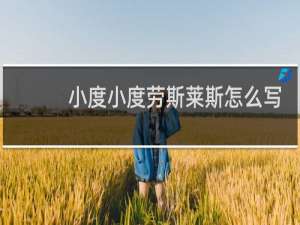 小度小度劳斯莱斯怎么写