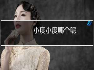 小度小度哪个呢