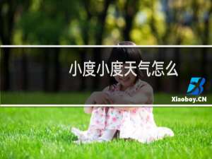 小度小度天气怎么