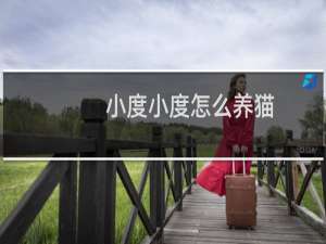 小度小度怎么养猫