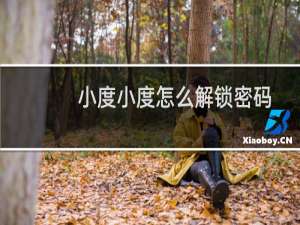 小度小度怎么解锁密码