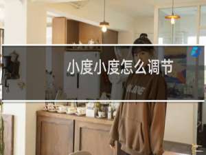 小度小度怎么调节