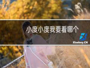 小度小度我要看哪个