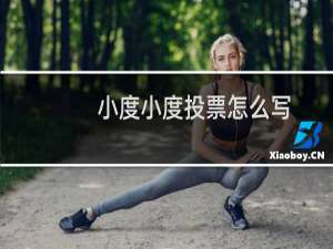 小度小度投票怎么写
