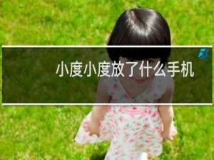 小度小度放了什么手机