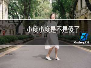 小度小度是不是傻了