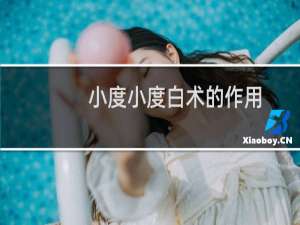 小度小度白术的作用