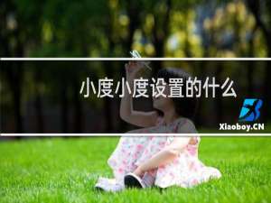小度小度設置的什么