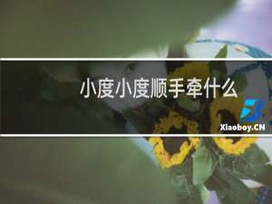 小度小度顺手牵什么