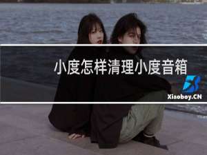 小度怎样清理小度音箱