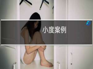 小度案例
