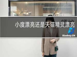 小度漂亮还是天猫精灵漂亮