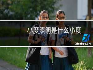 小度照明是什么小度