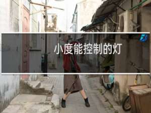 小度能控制的灯