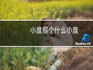 小度那个什么小度